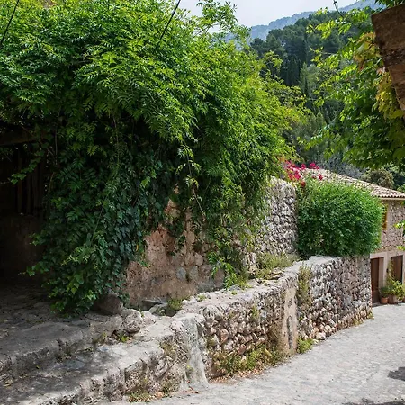 Holiday home S'olivaret Fornalutx
